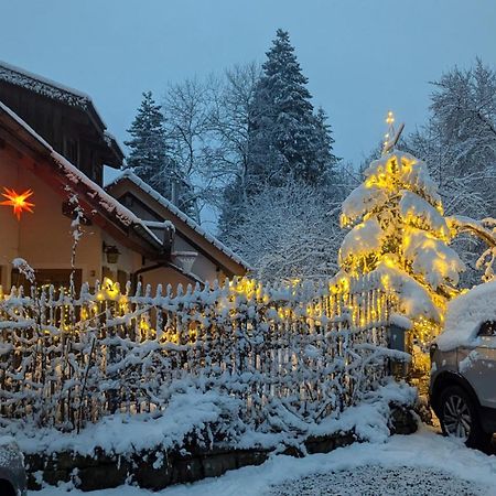 Gemuetliche Waldrandlage In Badenweiler Sehringen Ferienwohnung Екстериор снимка