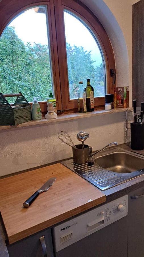 Gemuetliche Waldrandlage In Badenweiler Sehringen Ferienwohnung Екстериор снимка