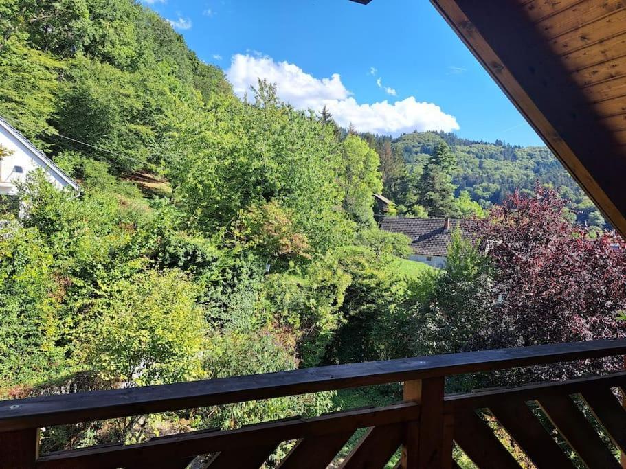 Gemuetliche Waldrandlage In Badenweiler Sehringen Ferienwohnung Екстериор снимка