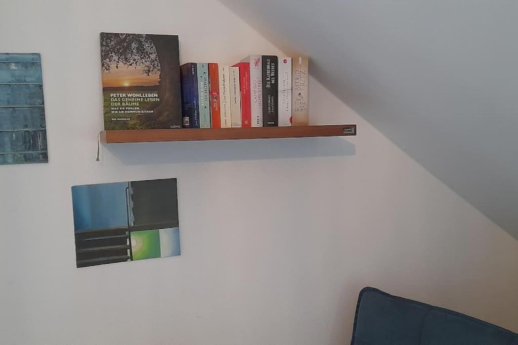 Gemuetliche Waldrandlage In Badenweiler Sehringen Ferienwohnung Екстериор снимка