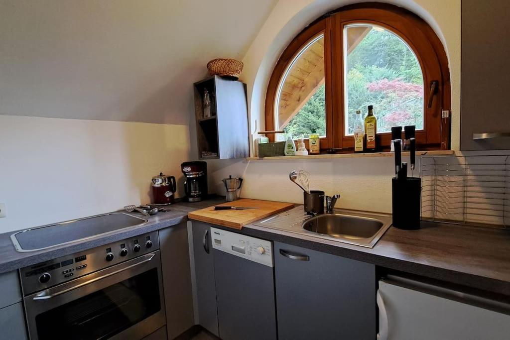 Gemuetliche Waldrandlage In Badenweiler Sehringen Ferienwohnung Екстериор снимка