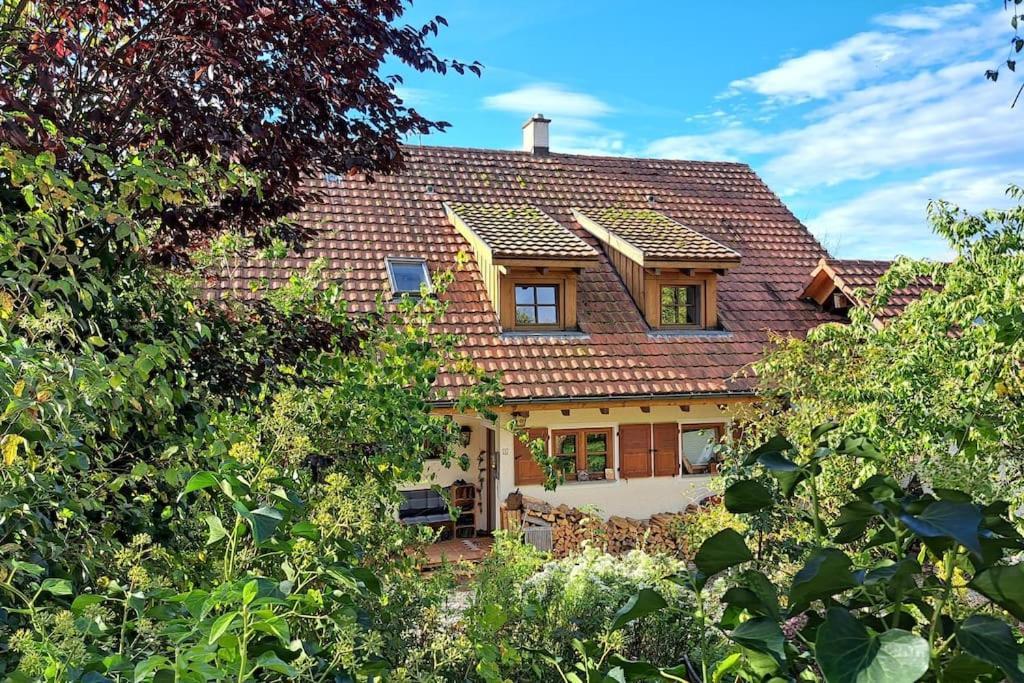 Gemuetliche Waldrandlage In Badenweiler Sehringen Ferienwohnung Екстериор снимка