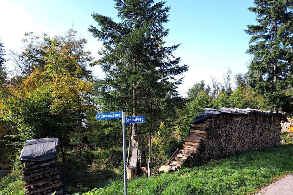 Gemuetliche Waldrandlage In Badenweiler Sehringen Ferienwohnung Екстериор снимка