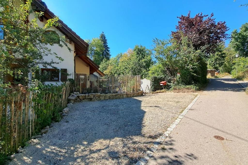 Gemuetliche Waldrandlage In Badenweiler Sehringen Ferienwohnung Екстериор снимка