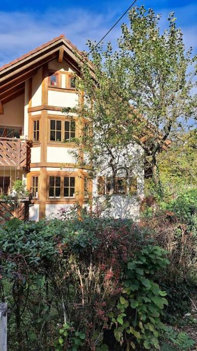 Gemuetliche Waldrandlage In Badenweiler Sehringen Ferienwohnung Екстериор снимка