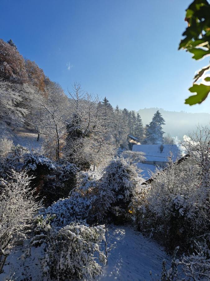 Gemuetliche Waldrandlage In Badenweiler Sehringen Ferienwohnung Екстериор снимка