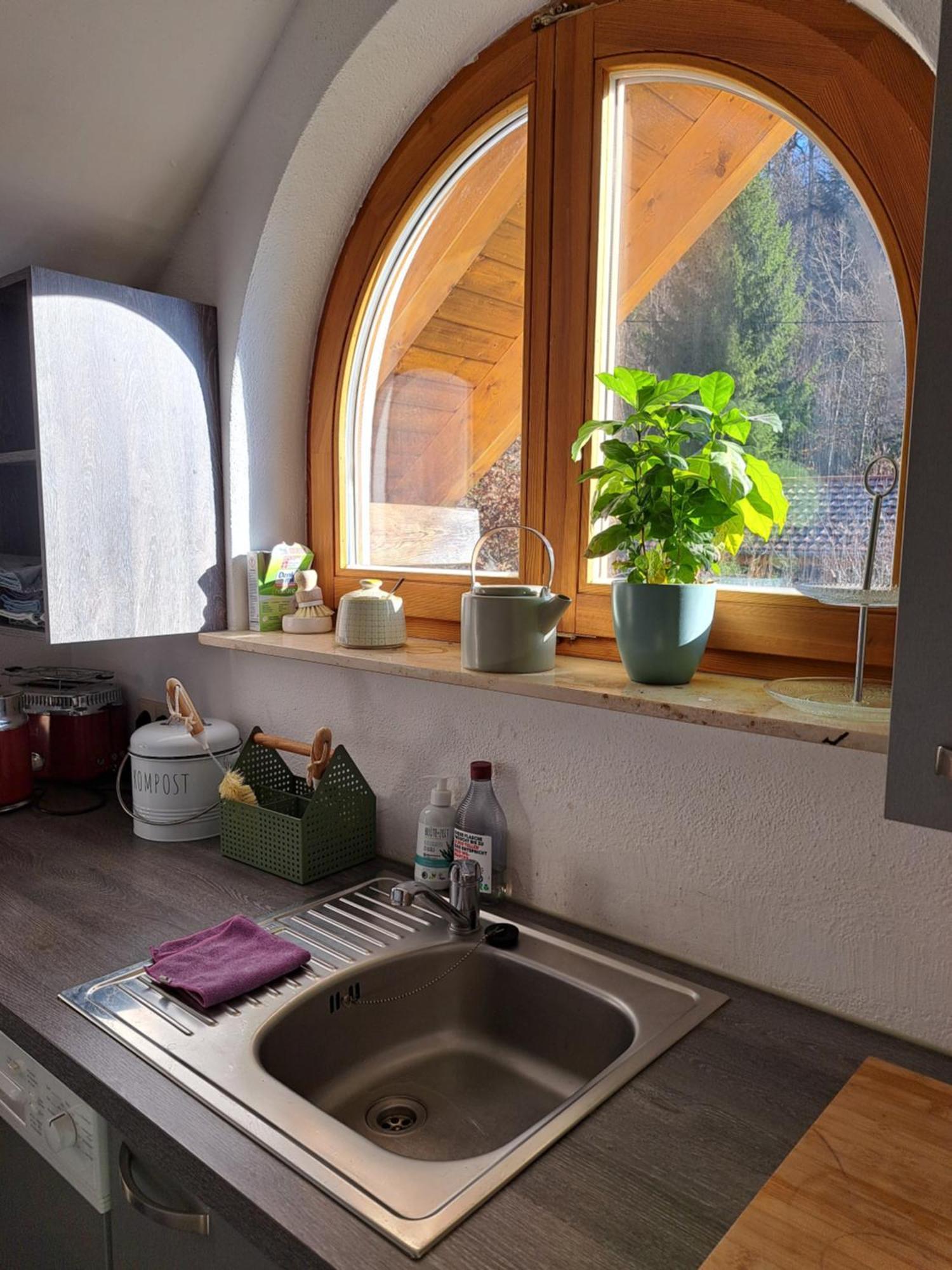 Gemuetliche Waldrandlage In Badenweiler Sehringen Ferienwohnung Екстериор снимка
