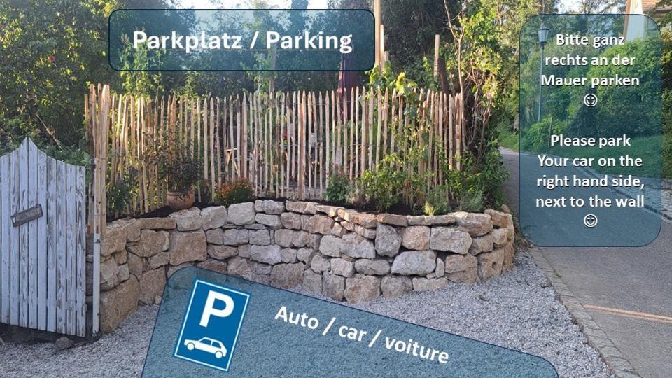 Gemuetliche Waldrandlage In Badenweiler Sehringen Ferienwohnung Екстериор снимка